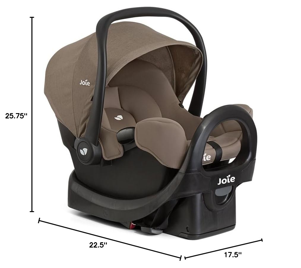 Infant Car Seat & Anti-Rebound Base T513