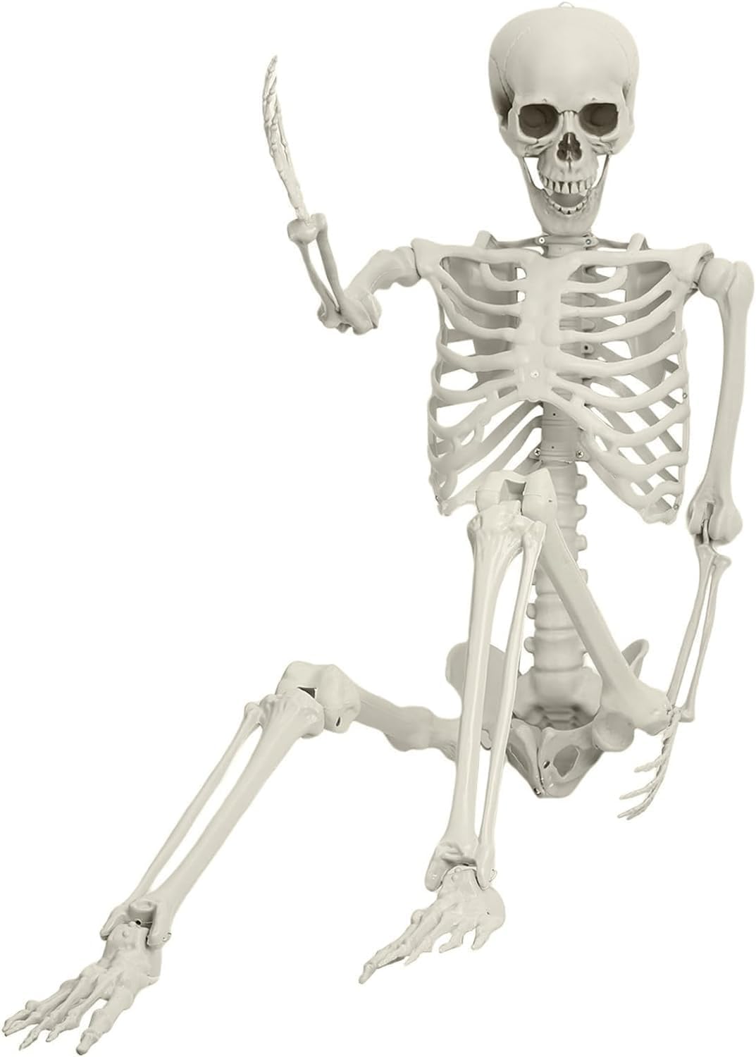 5.4ft Posable Plastic Skeleton Z44884