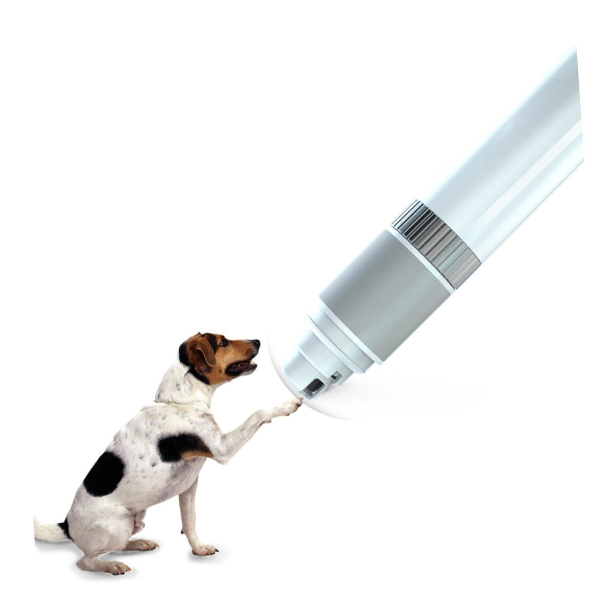 Electric Nail Grinder for Dogs R415