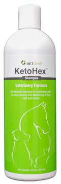 16 oz Anti Bacterial Cat & Dog Flea And Tick Shampoo M3022