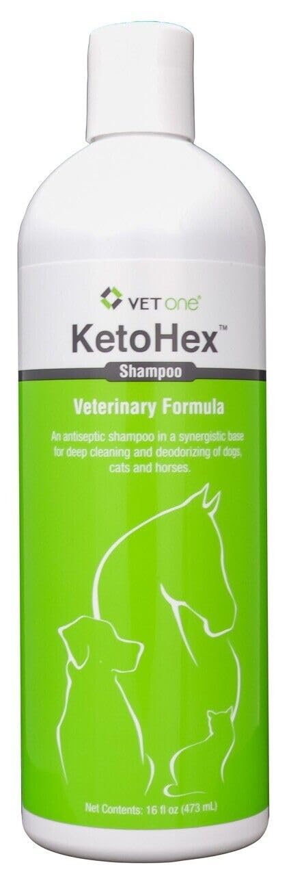 16 oz Anti Bacterial Cat & Dog Flea And Tick Shampoo M3022