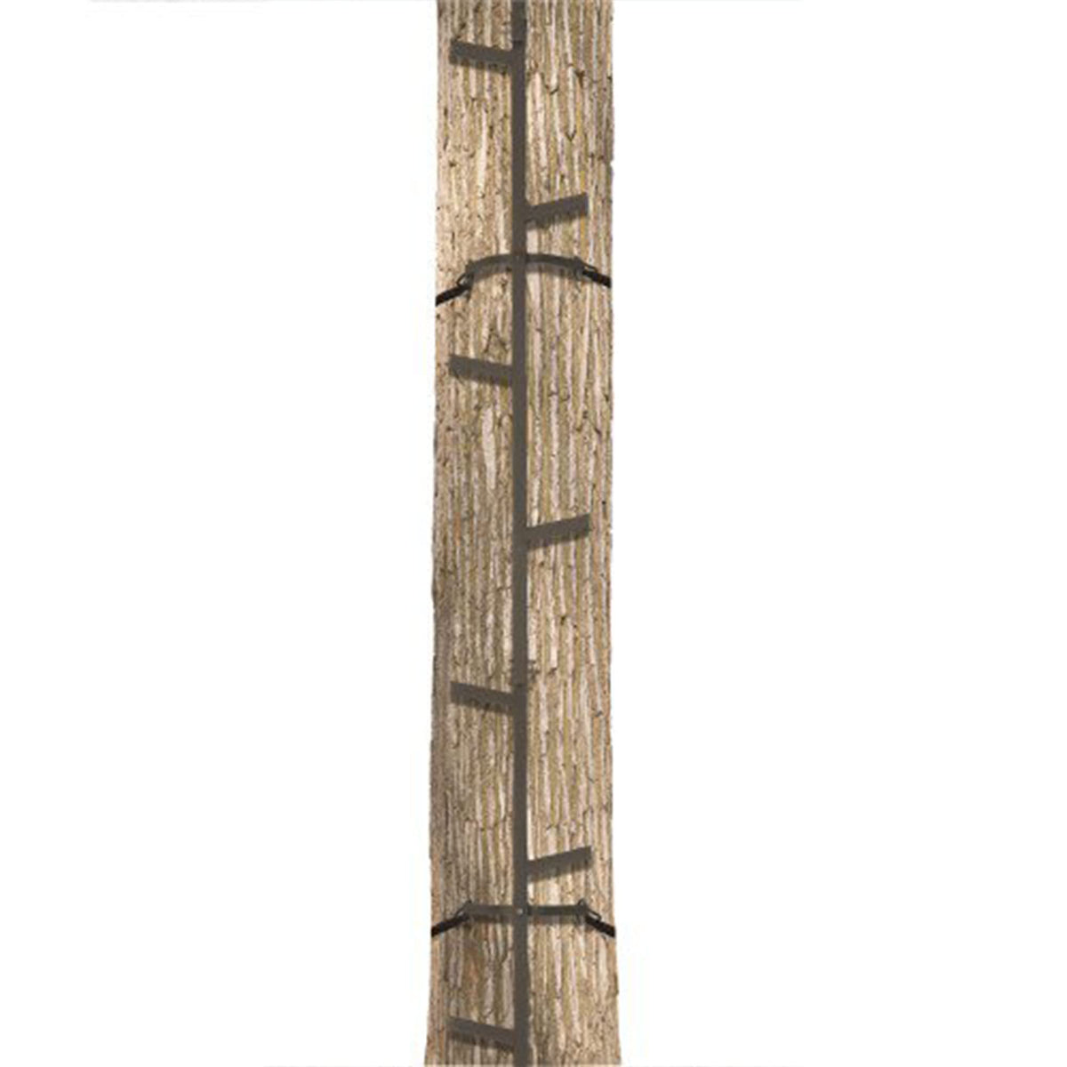 20 Feet Tall Steel Tree Climbing System (2 Pack) F6604