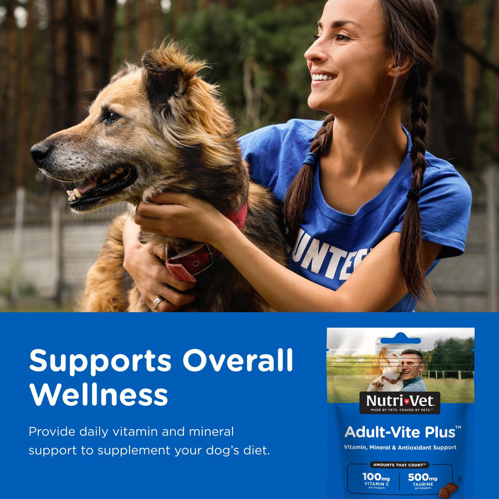 Dog Multivitamin 70 Count W905