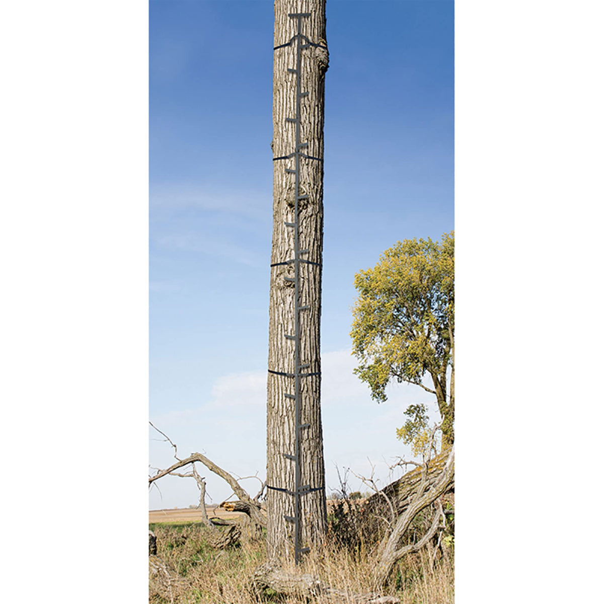 20 Feet Tall Steel Tree Climbing System (2 Pack) F6604