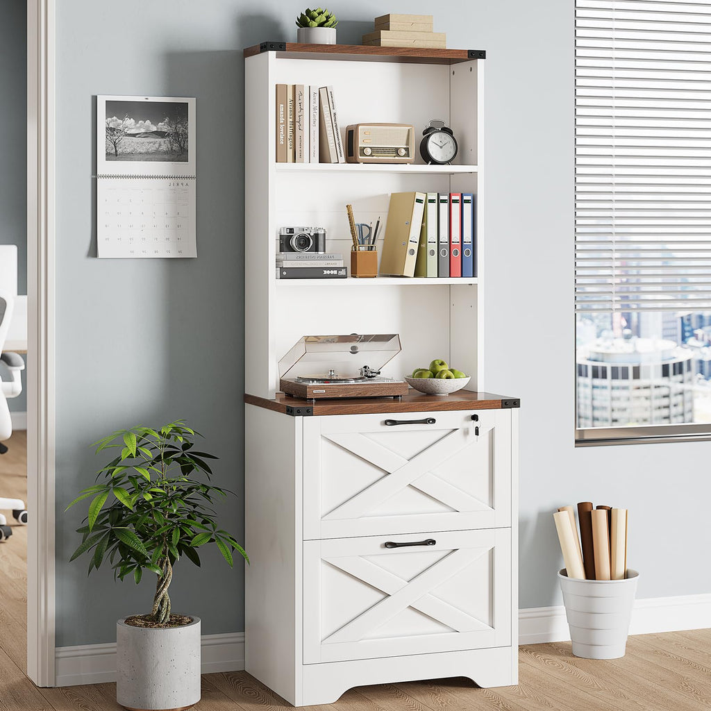 2 Drawer File Cabinet with Lock C388