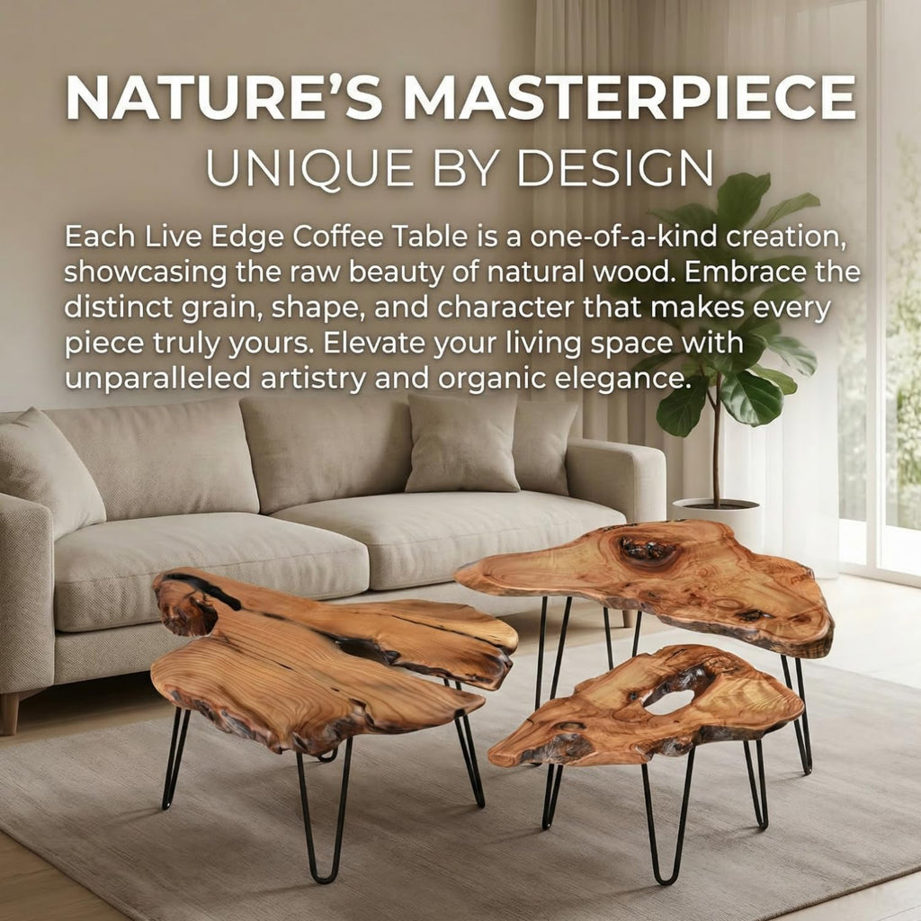 Live Edge Natural Wood Coffee Table D63653