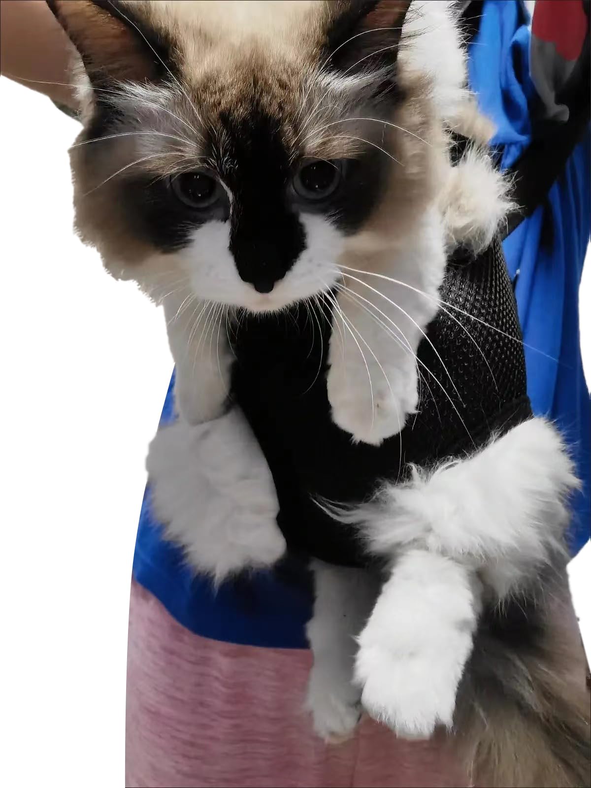 Adjustable Pet Carrier Backpack K210