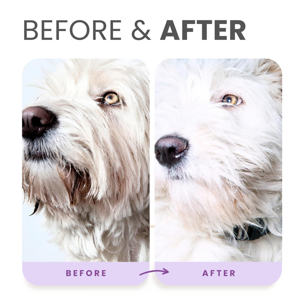 Brightening Shampoo & Oatmeal Conditioner Set for Dogs N559111