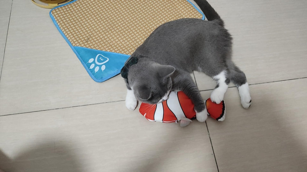 Organic Cat Grass Kit with Interactive Fish Toy K550376