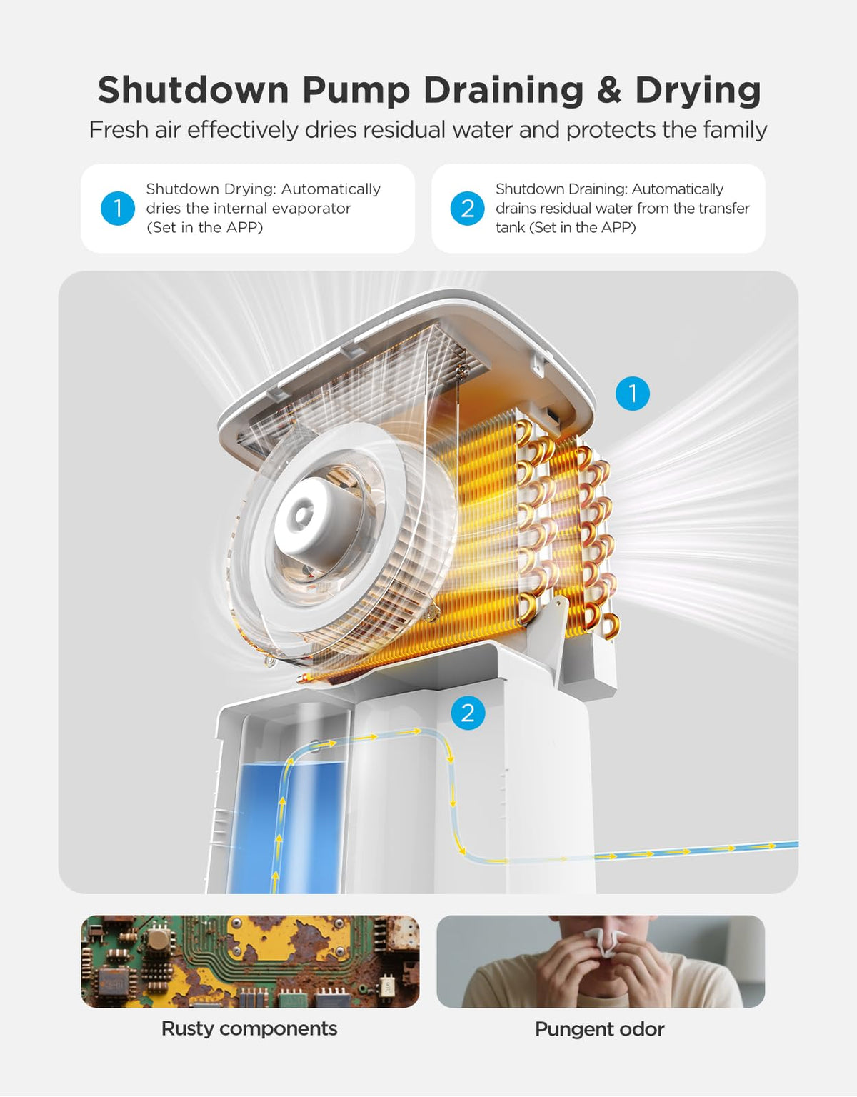 Dehumidifier with Air Quality Monitor A473