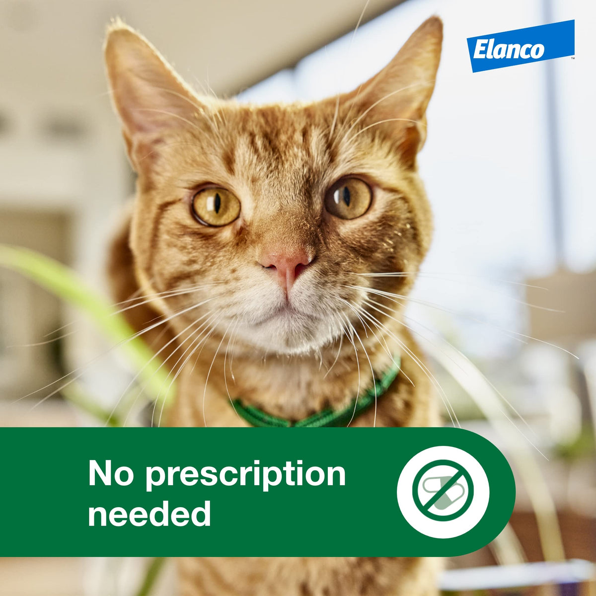 Large Cat Topical Flea Treatment & Prevention 1ct B375595