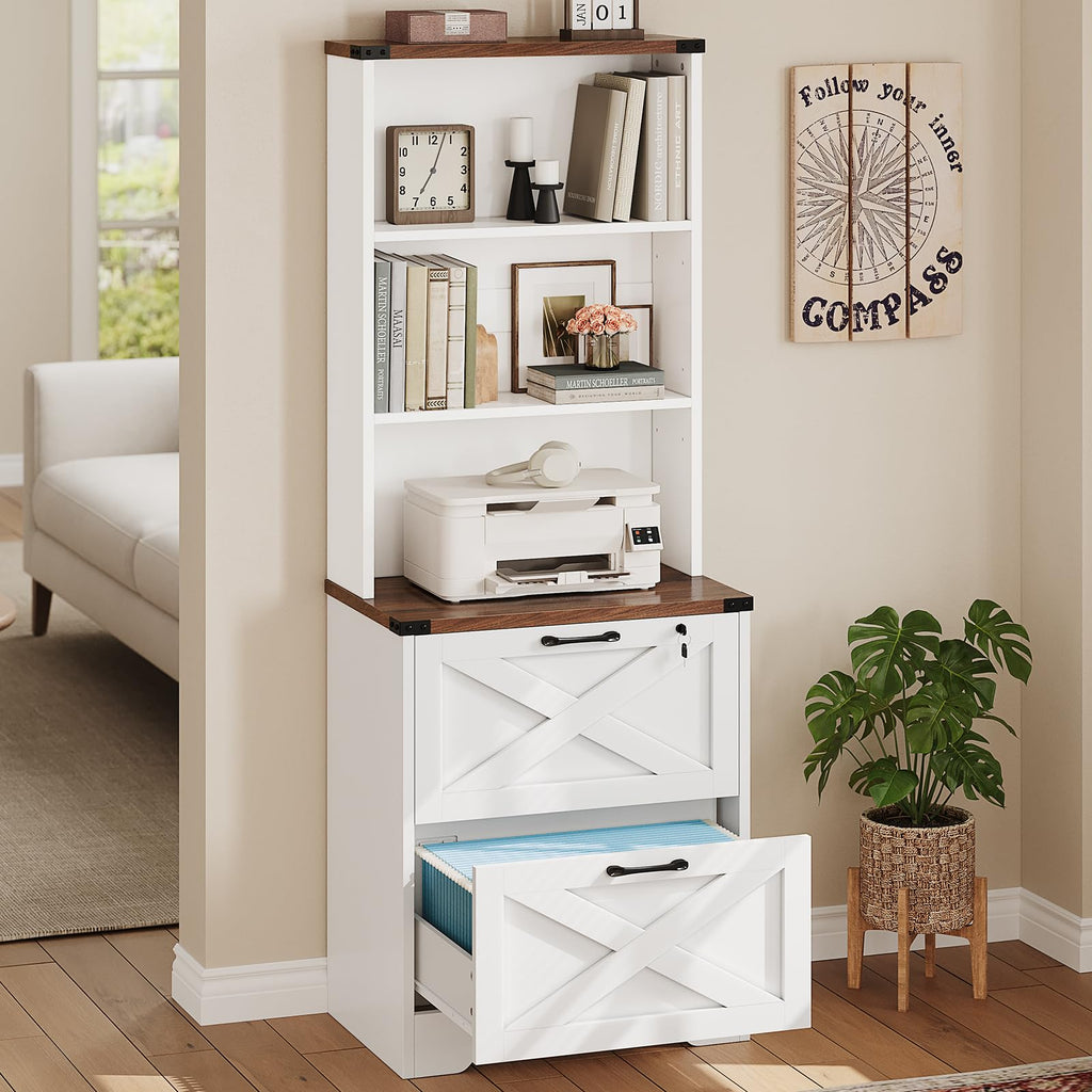 2 Drawer File Cabinet with Lock C388