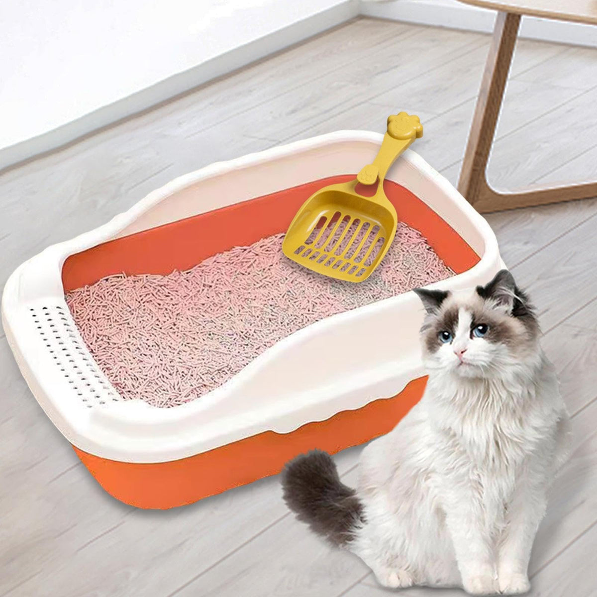 Orange Cat Litter Box with Sifting Spoon Y76840