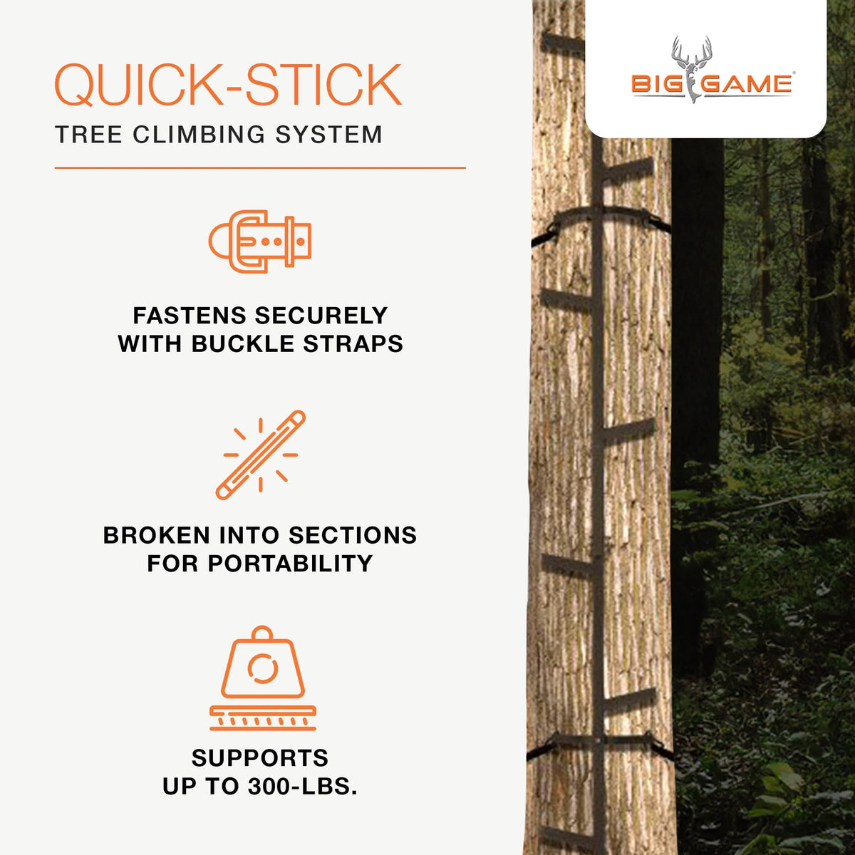 20 Feet Tall Steel Tree Climbing System (2 Pack) F6604