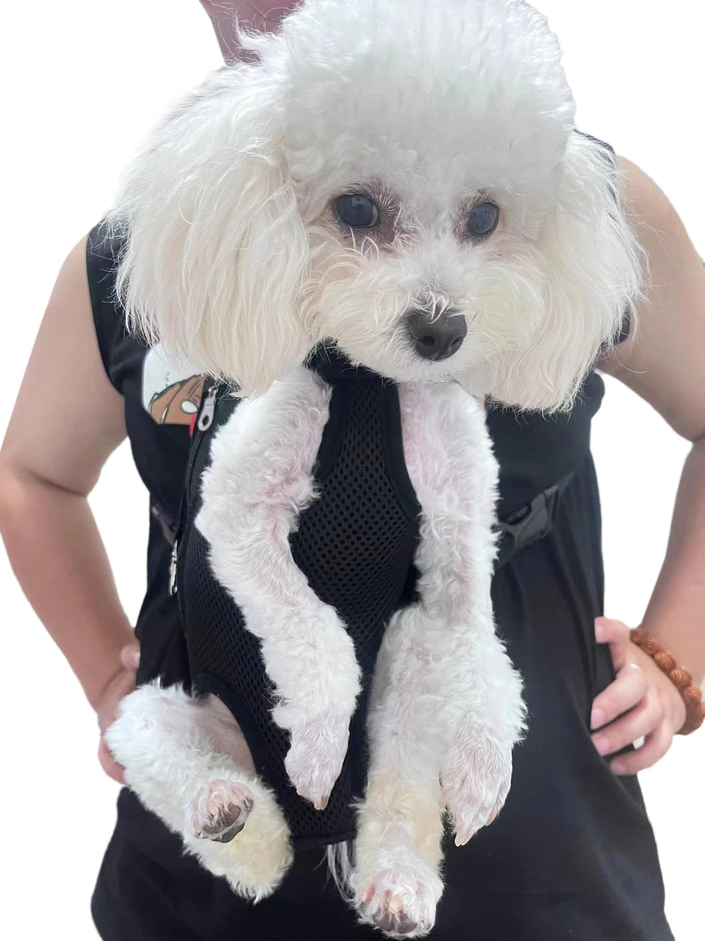 Adjustable Pet Carrier Backpack K210