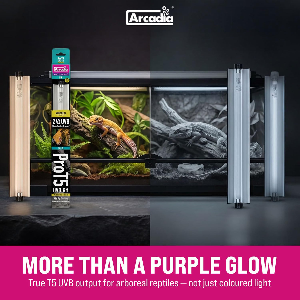 12" 8 Watts T5 UVB Reptile Light Fixture Kit W4312