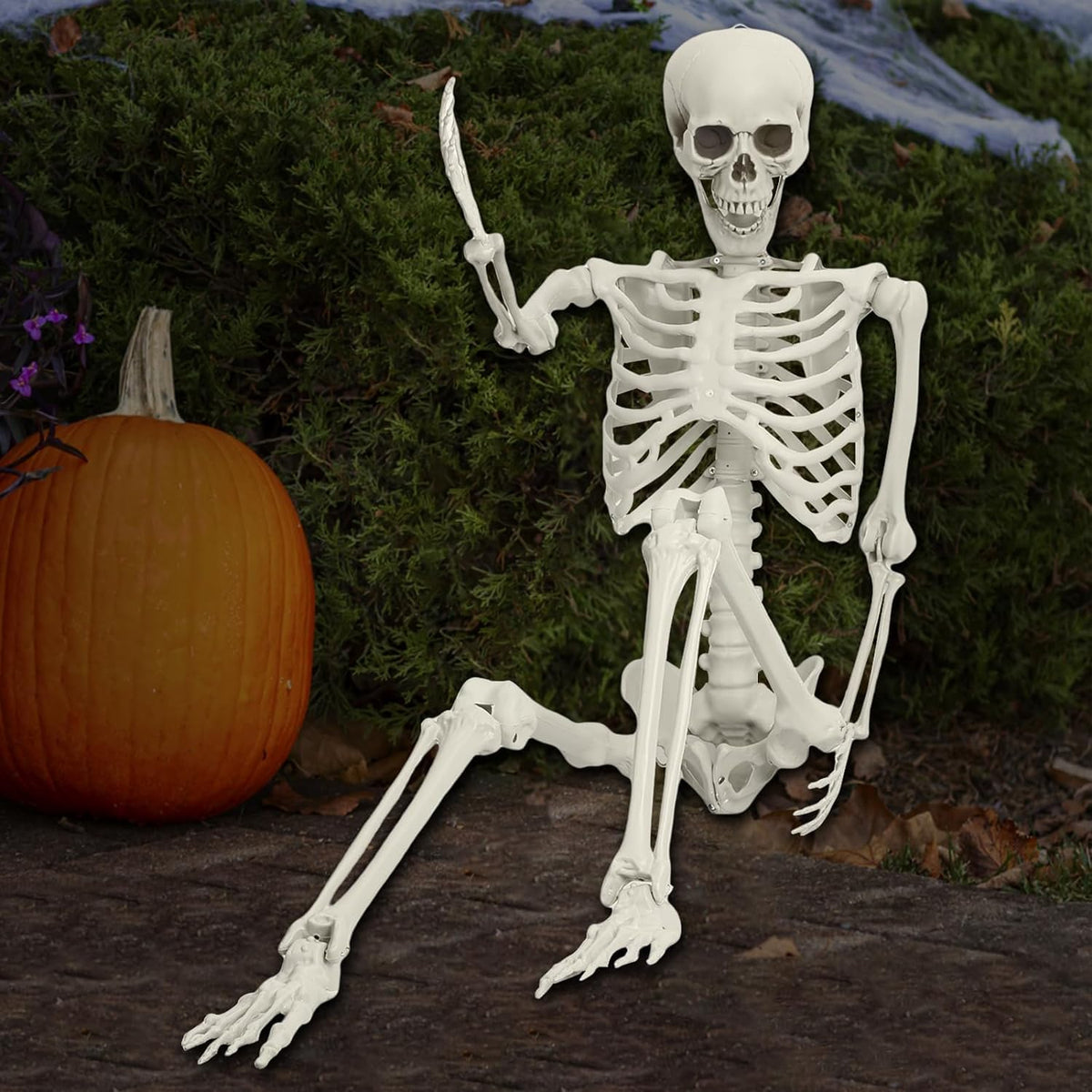 5.4ft Posable Plastic Skeleton Z44884