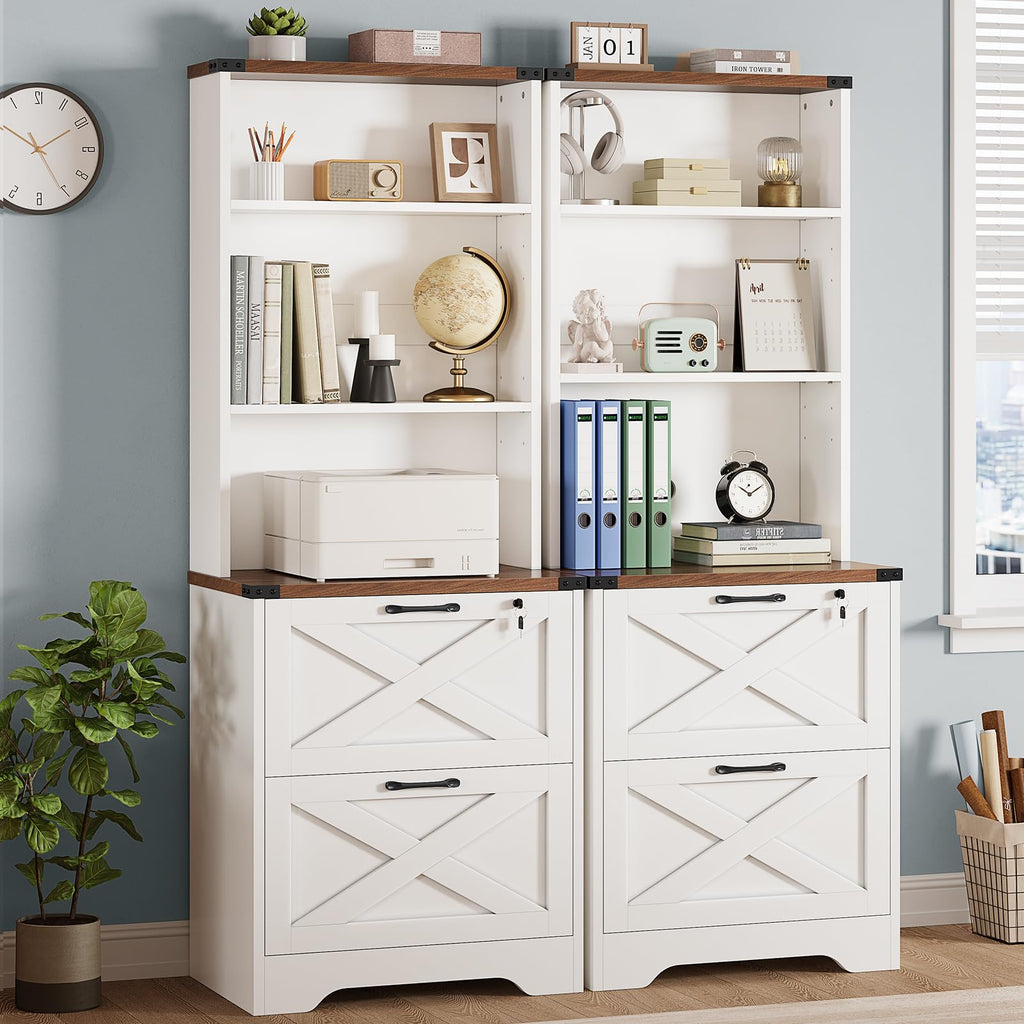 2 Drawer File Cabinet with Lock C388