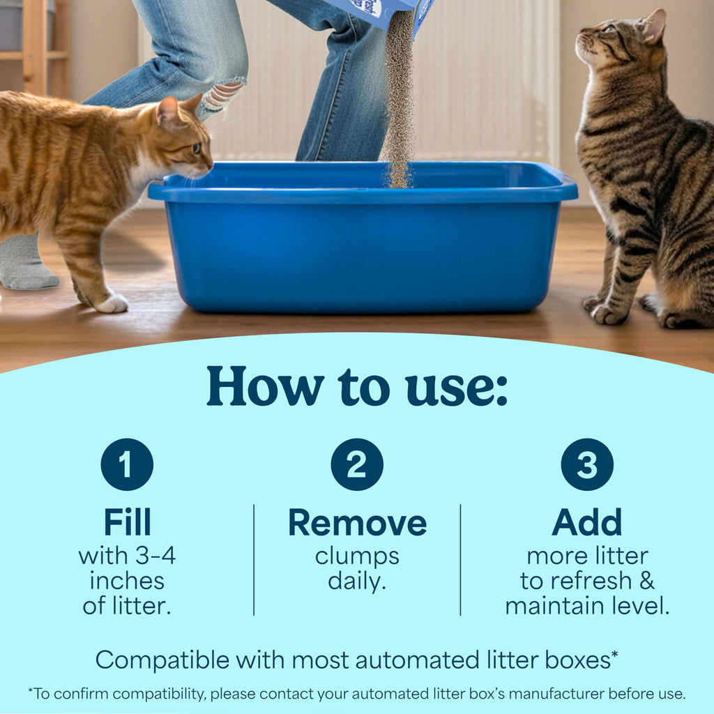 Clumping Multi Cat Litter with Carbon, 22 lb. D31597