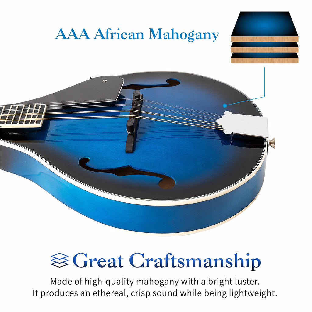 8 String Acoustic Mandolin P78478