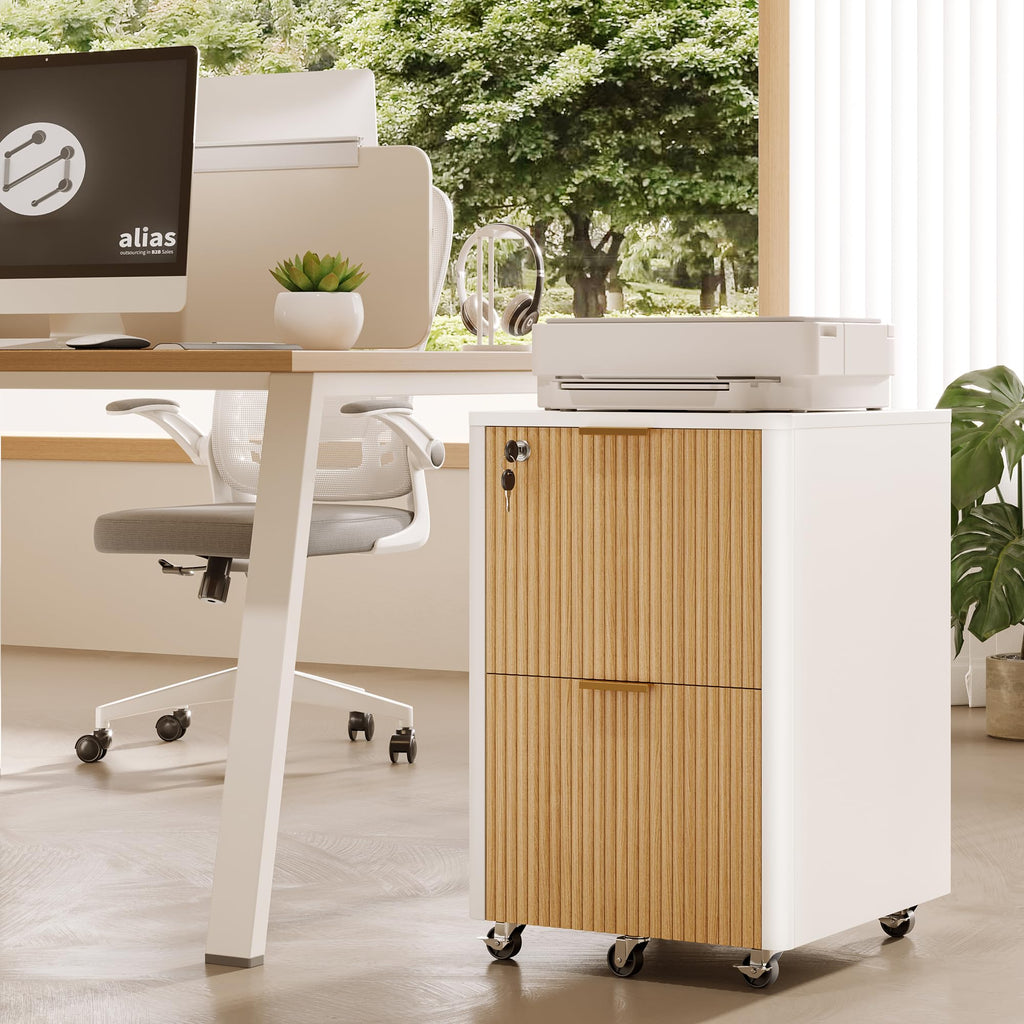 2 Drawer Wooden Mobile File Cabinet with Lock D593988