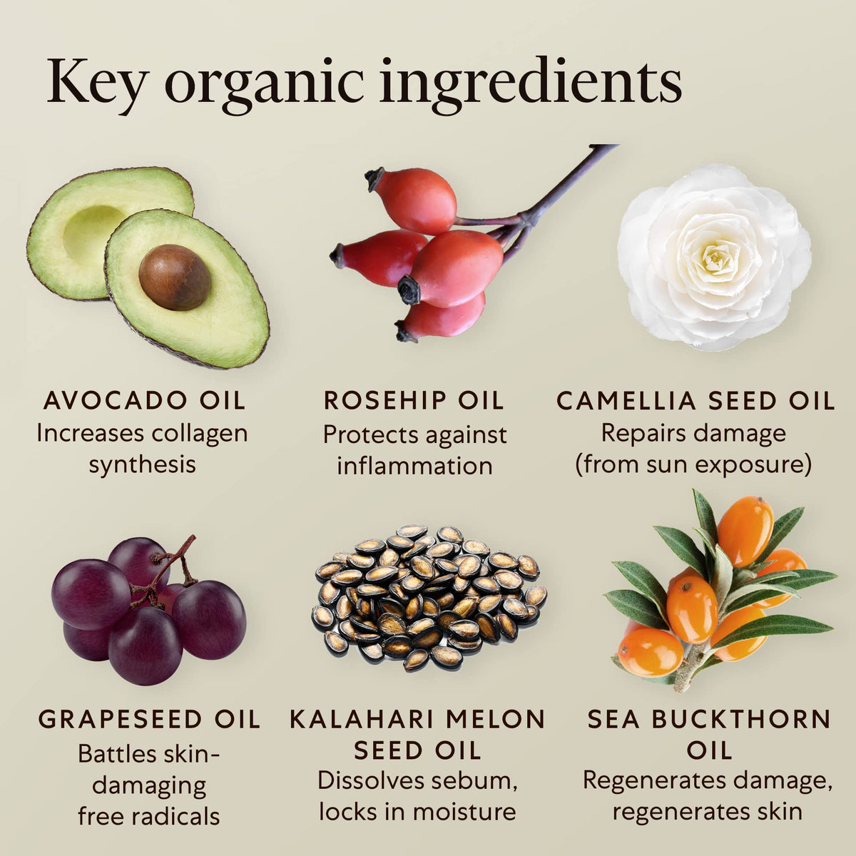 Organic Face Oil with Rosehip Sea Buckthorn Avocado Vitamin E H5758