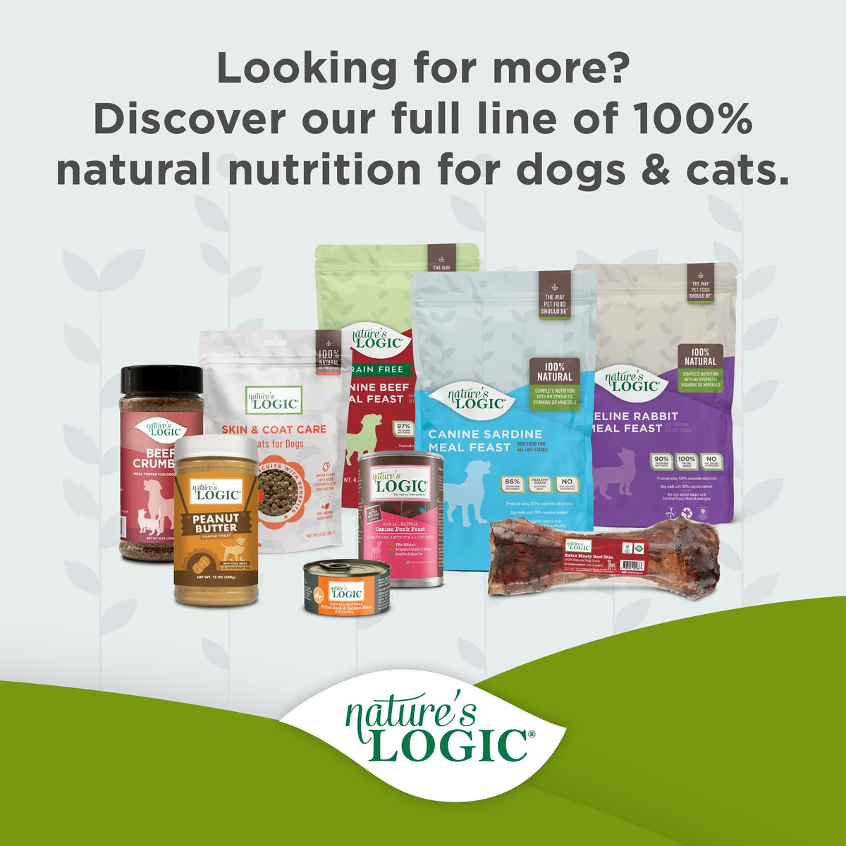 Dry Dog Food Chicken Meal Kibble 4.4 lb T125