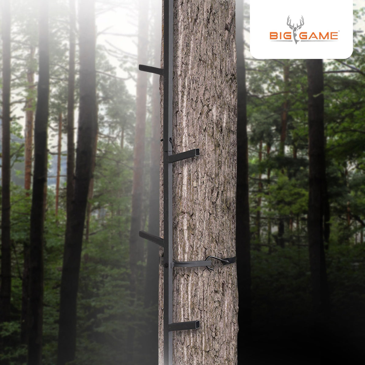 20 Feet Tall Steel Tree Climbing System (2 Pack) F6604
