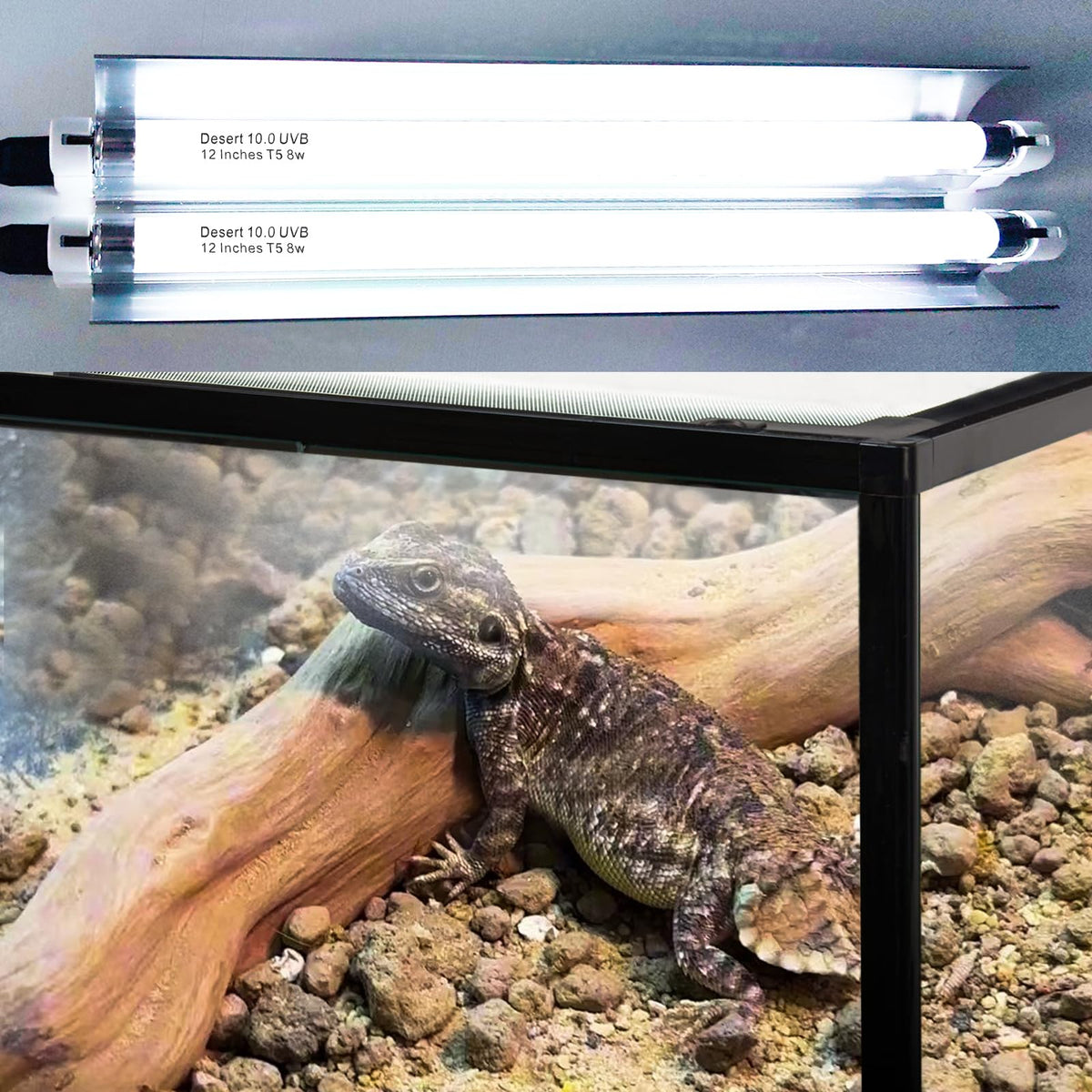 16 Watts 12 Inches T5 10.0 UVB Reptile Light Fixture P823