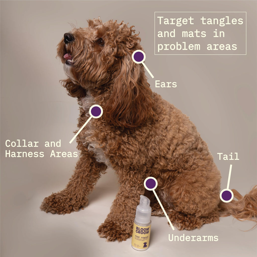 Waterless Dry Shampoo and Detangler for Dogs 1.52 oz C19203