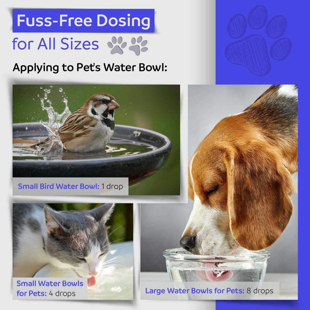 1 oz Natural Flower Essences for Dogs, Cats & Horses E30312