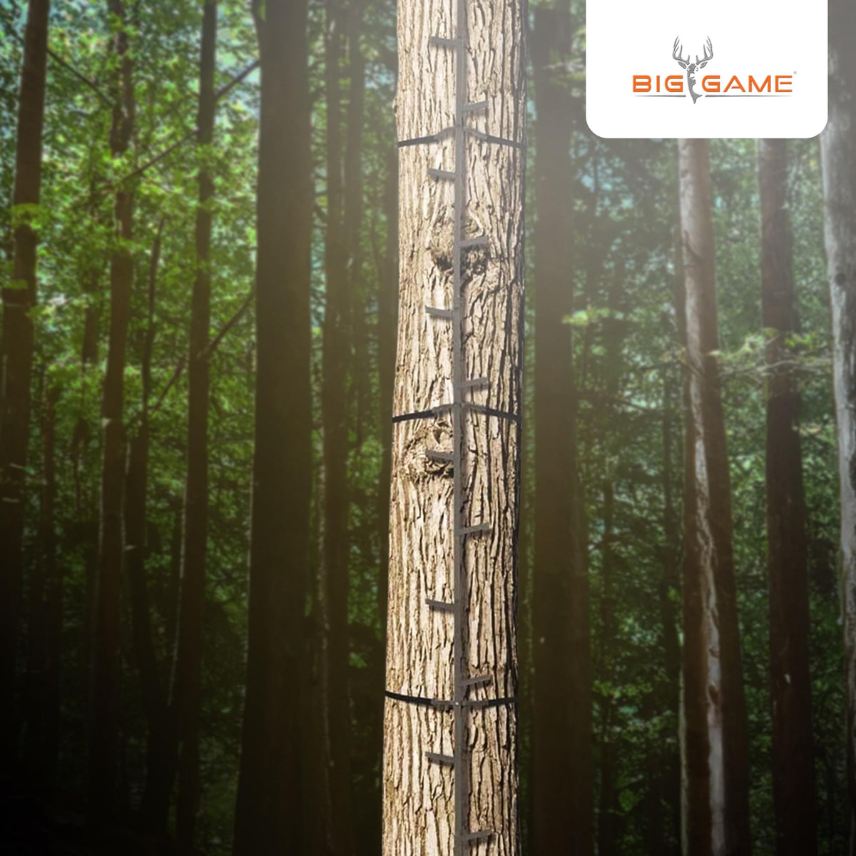 20 Feet Tall Steel Tree Climbing System (2 Pack) F6604