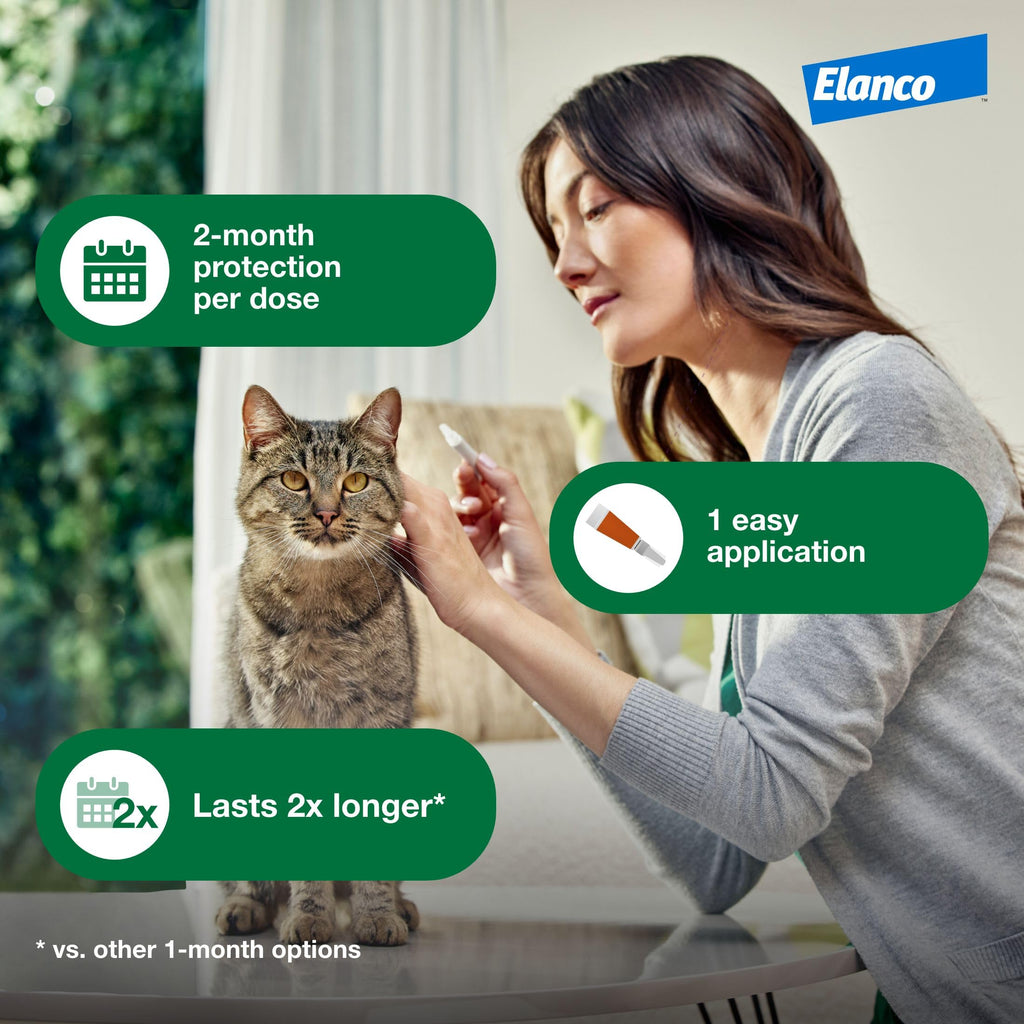 Large Cat Topical Flea Treatment & Prevention 1ct B375595