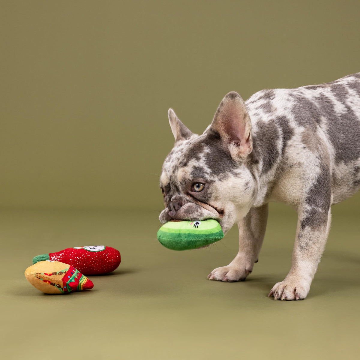 Plush Dog Toy 3 Pieces Set N4621
