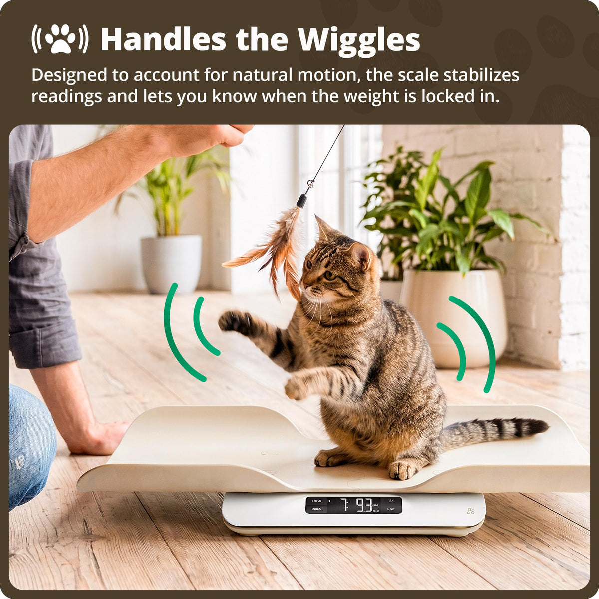 Digital Pet Scale for Cats, Dogs & Small Animals F6915