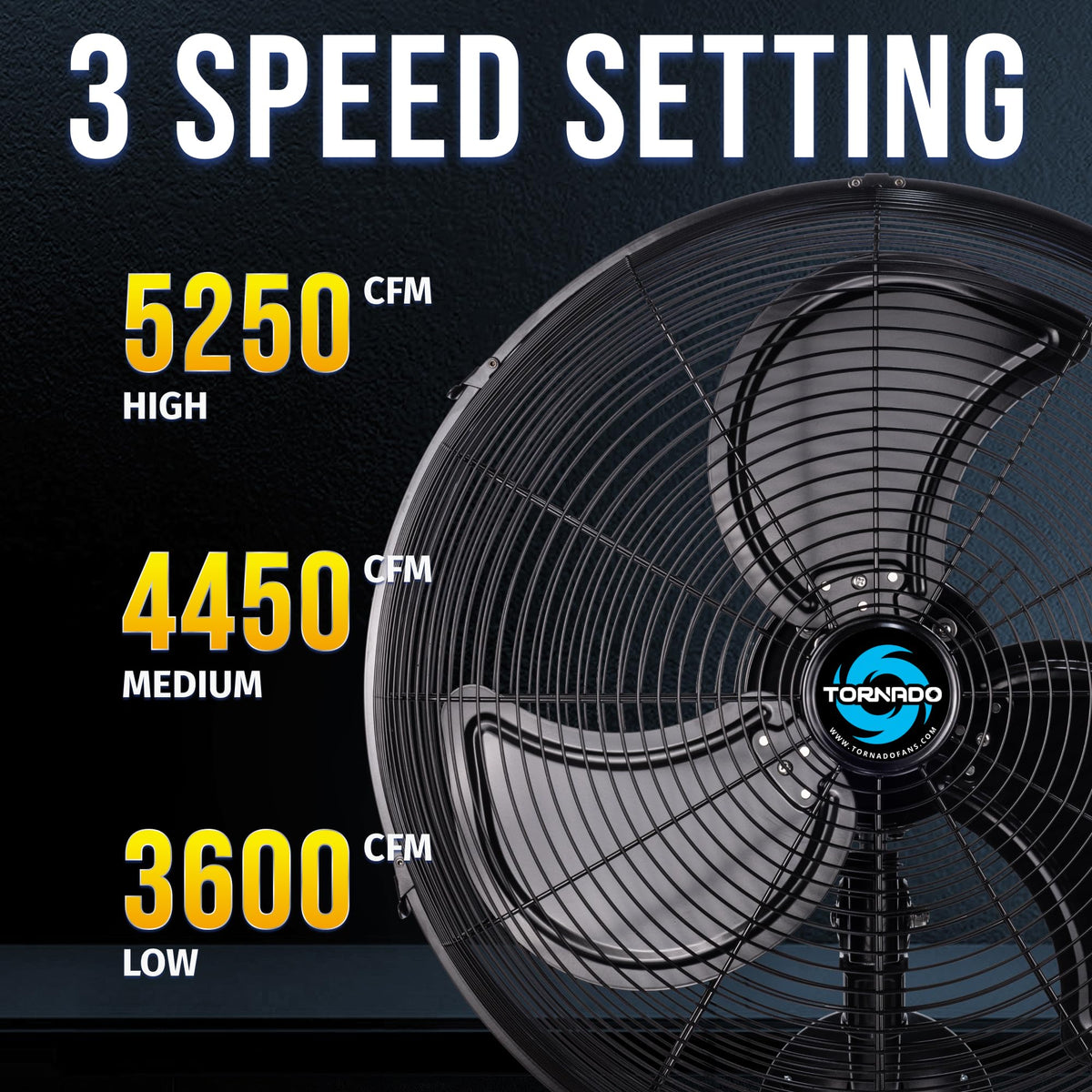 20 Inch Oscillating 3-Speed Waterproof Wall Mount Fan T124