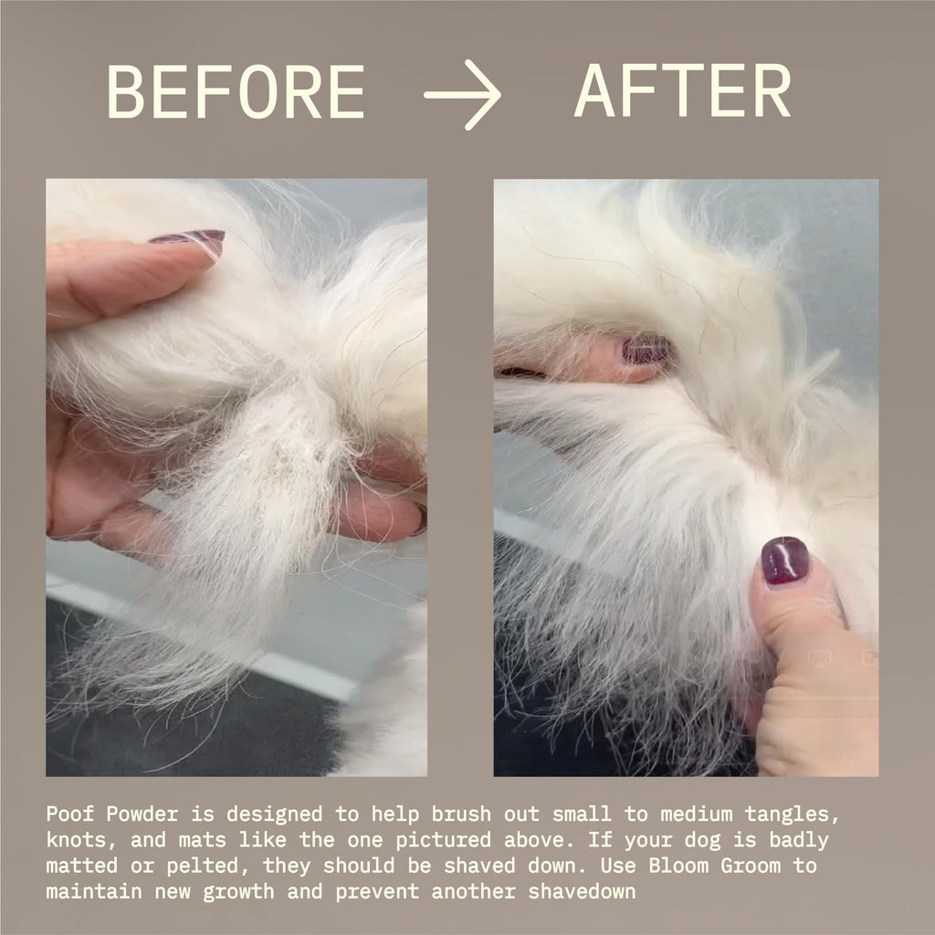Waterless Dry Shampoo and Detangler for Dogs 1.52 oz C19203