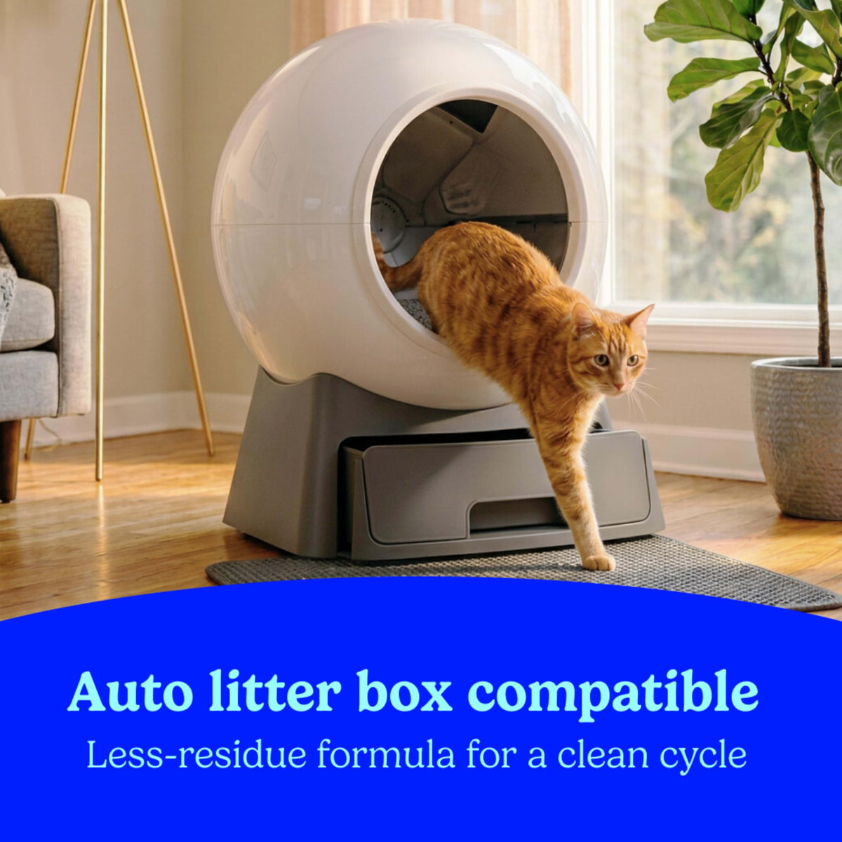Clumping Multi Cat Litter with Carbon, 22 lb. D31597