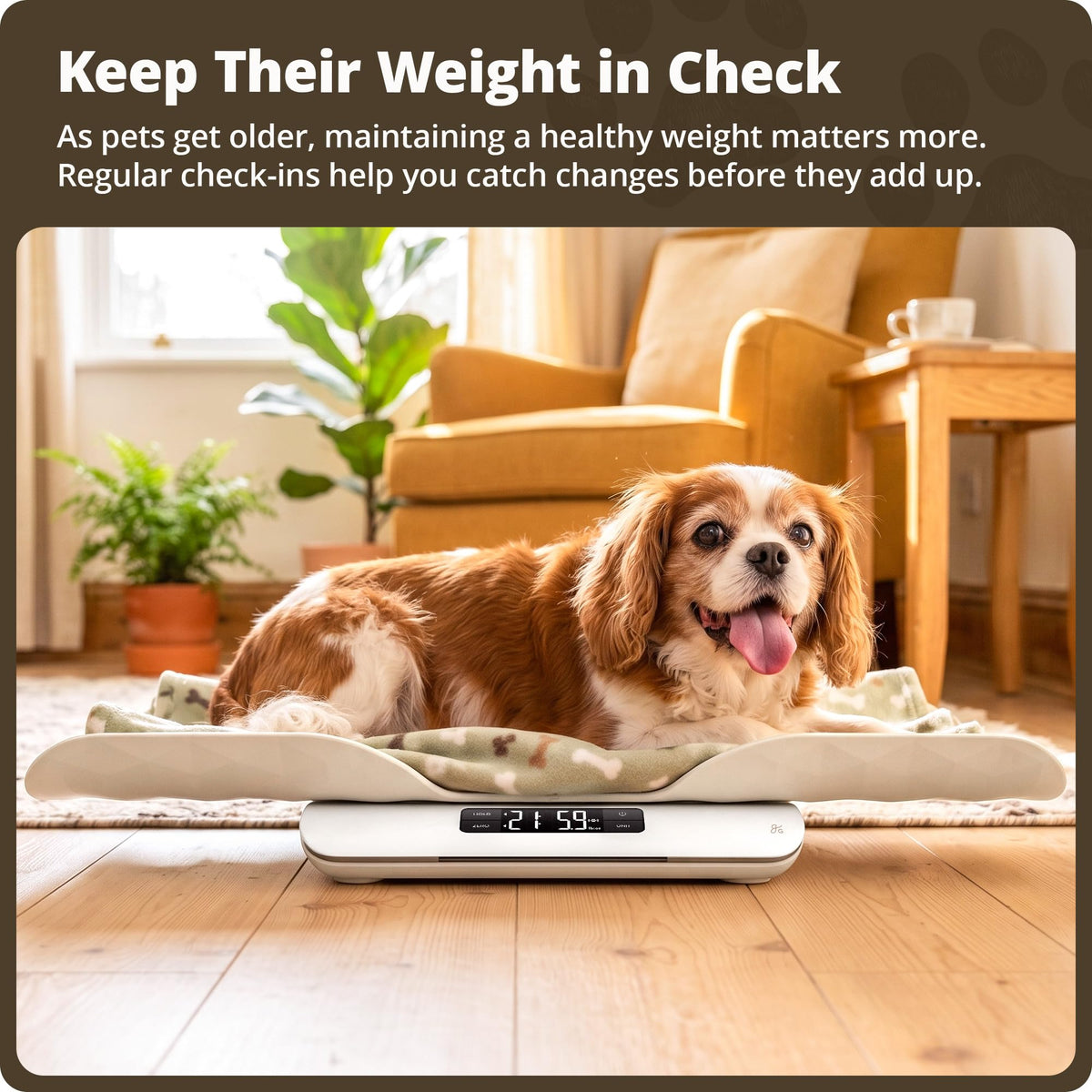 Digital Pet Scale for Cats, Dogs & Small Animals F6915