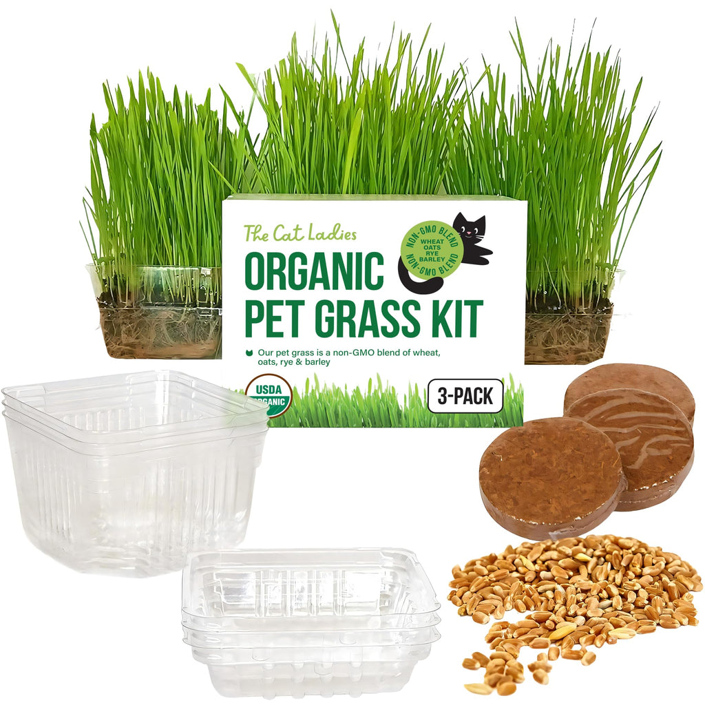 Organic Cat Grass Growing Kit with Seeds Soil and Containers 3 Pack A1221