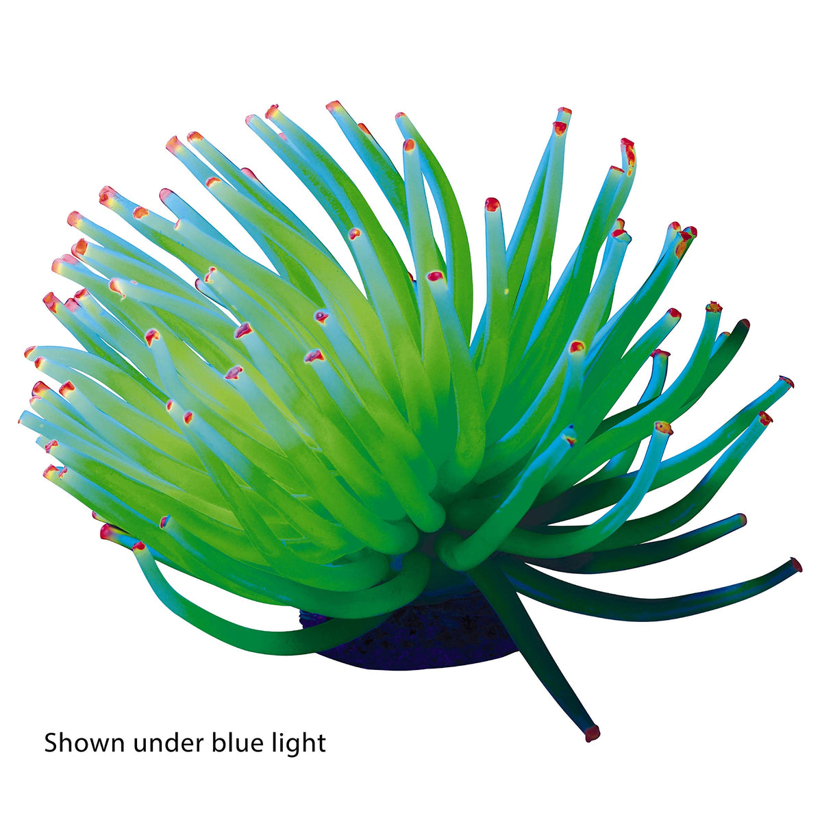Yellow Anemone Aquarium Ornament N445