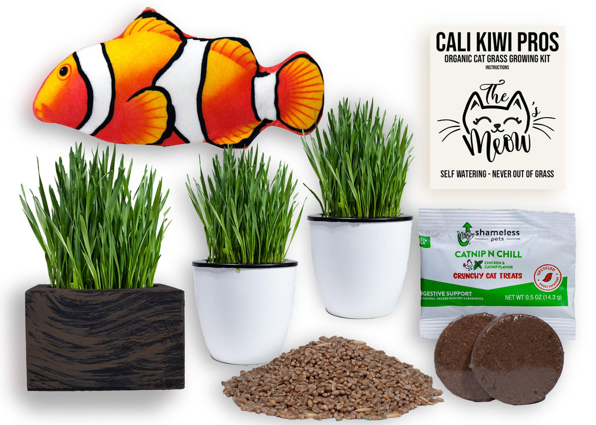 Organic Cat Grass Kit with Interactive Fish Toy K550376