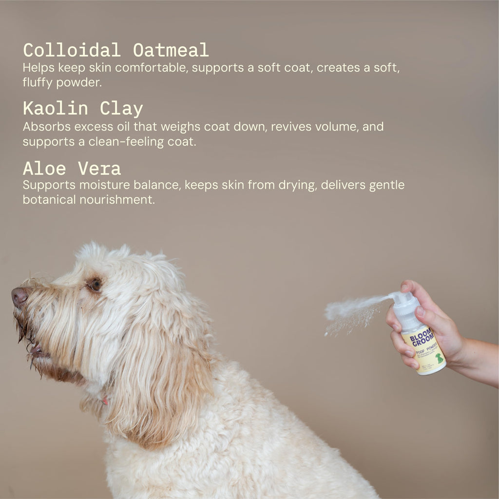 Waterless Dry Shampoo and Detangler for Dogs 1.52 oz C19203