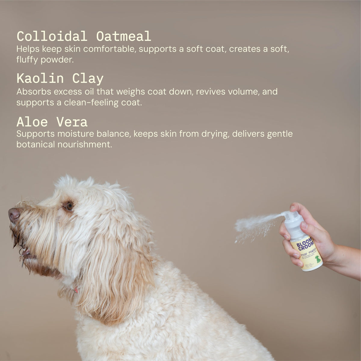 Waterless Dry Shampoo and Detangler for Dogs 1.52 oz C19203