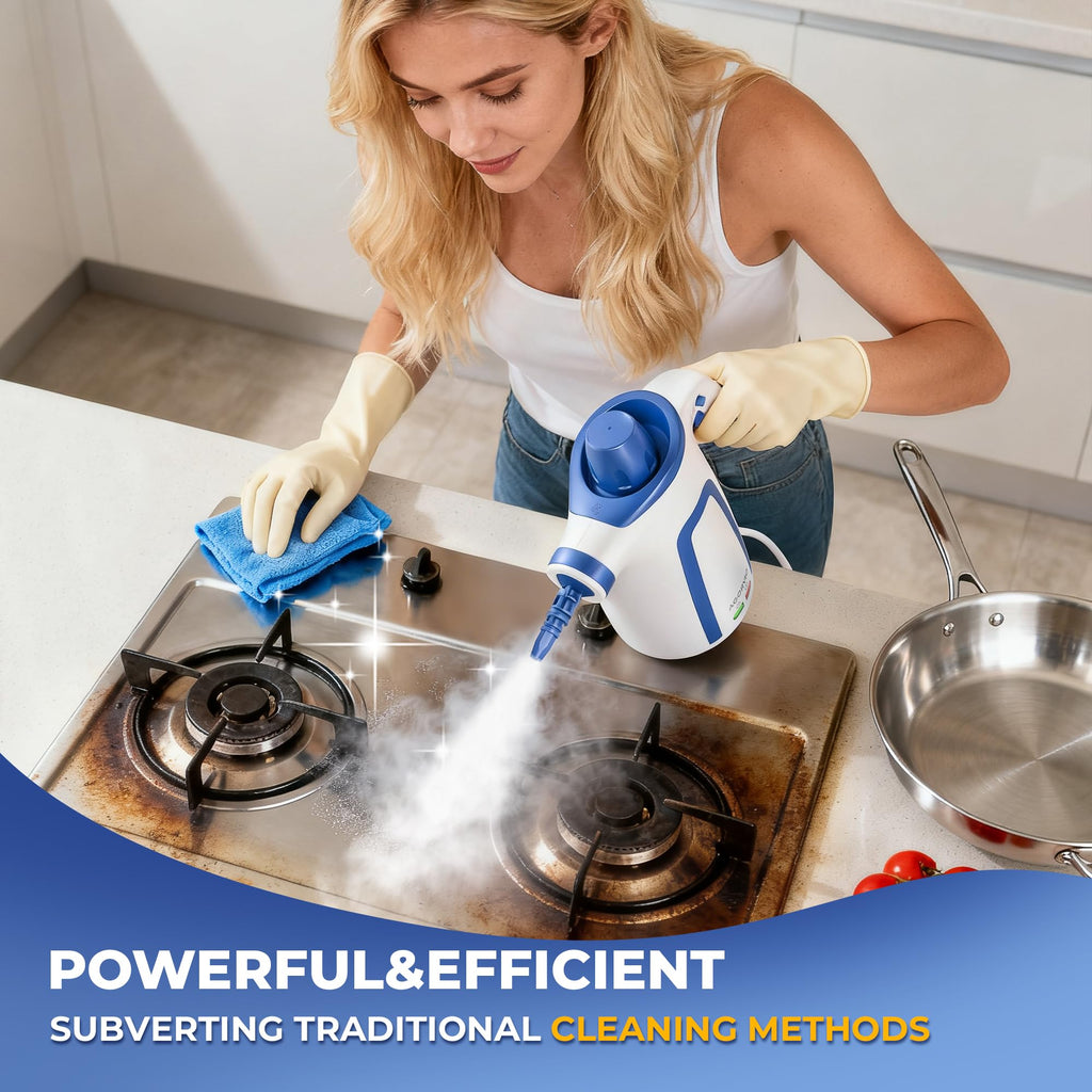 Handheld Steam Cleaner with 11 Accessories R4123