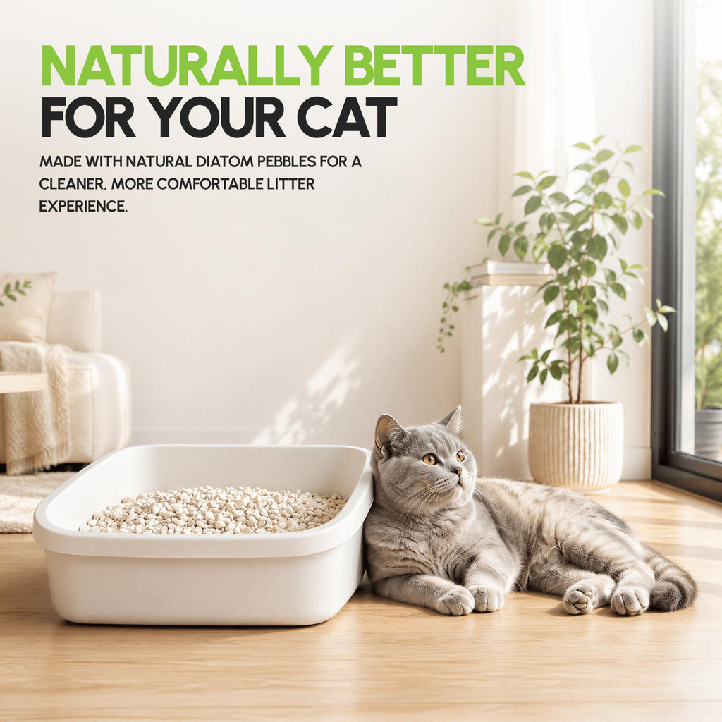 All Natural Unscented Cat Litter, 8 lbs E7565