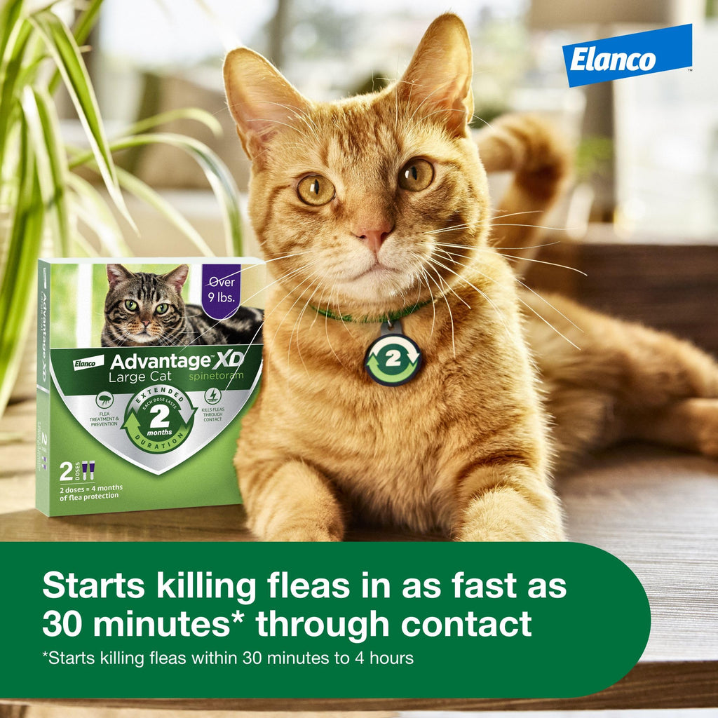Large Cat Topical Flea Treatment & Prevention 1ct B375595