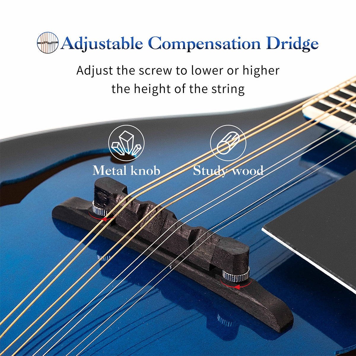 8 String Acoustic Mandolin P78478